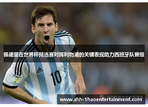 佩德里在世界杯预选赛对阵利物浦的关键表现助力西班牙队晋级 佩德里在世界杯预选赛对阵利物浦的关键表现助力西班牙队晋级